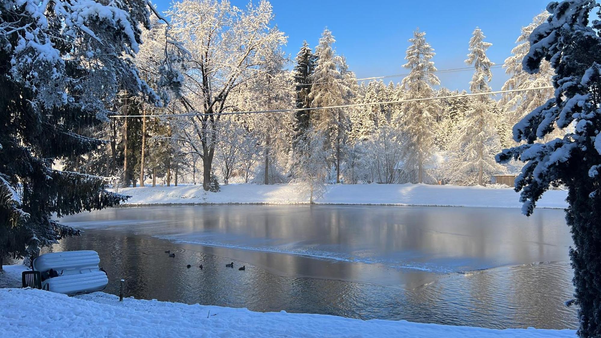 Ferienwohnung Haus Am Fischteich Feistritz ob Bleiburg Exterior foto