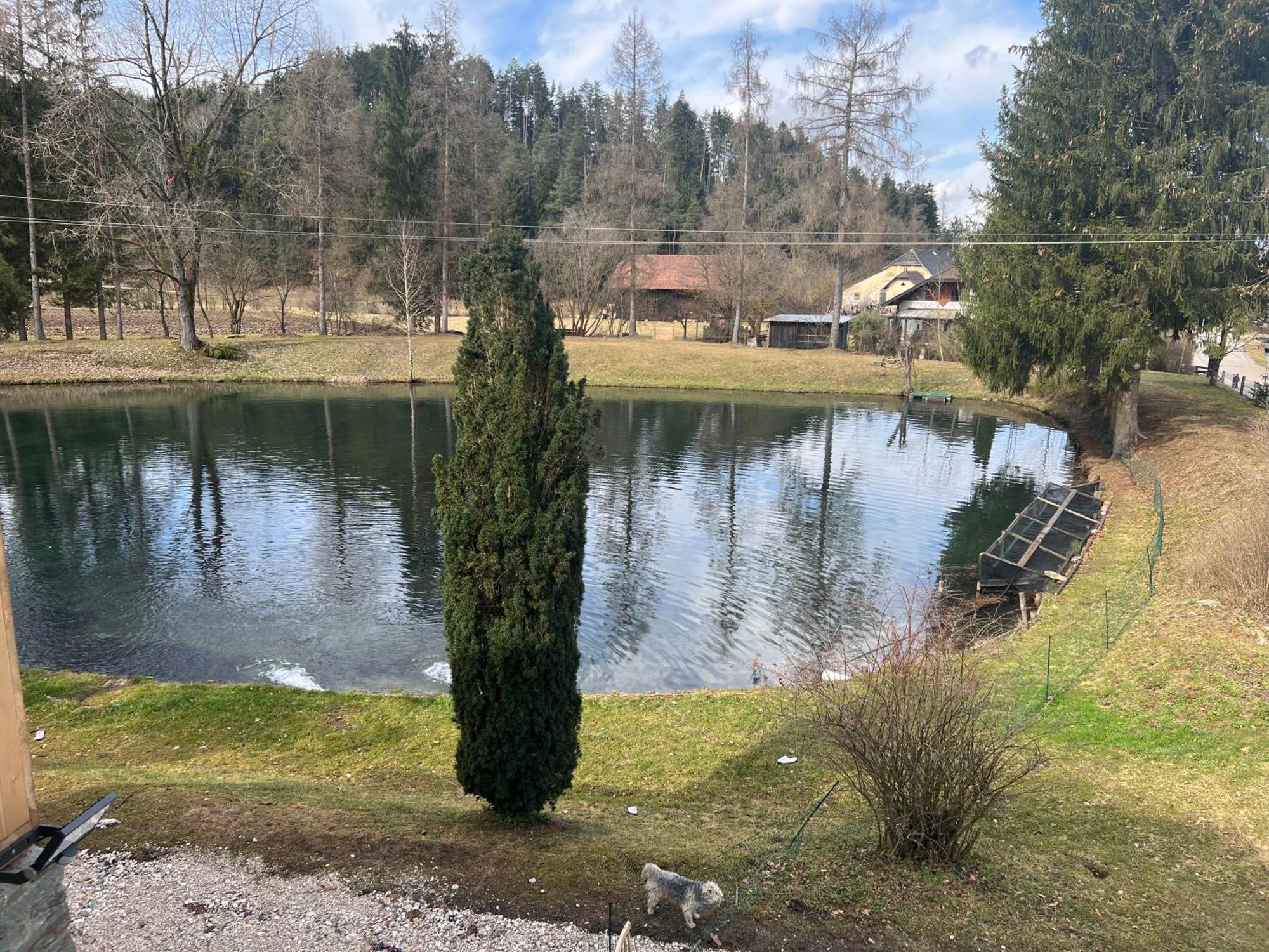 Ferienwohnung Haus Am Fischteich Feistritz ob Bleiburg Exterior foto