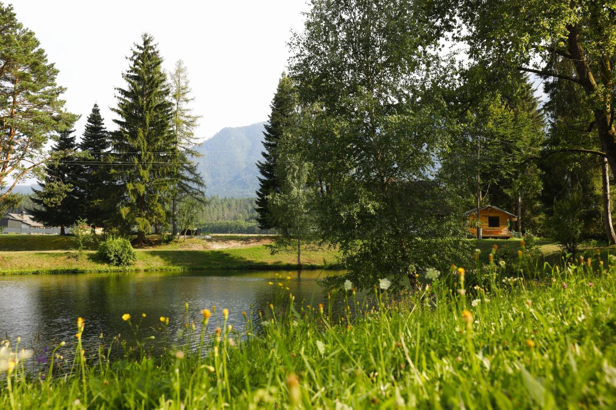 Ferienwohnung Haus Am Fischteich Feistritz ob Bleiburg Exterior foto