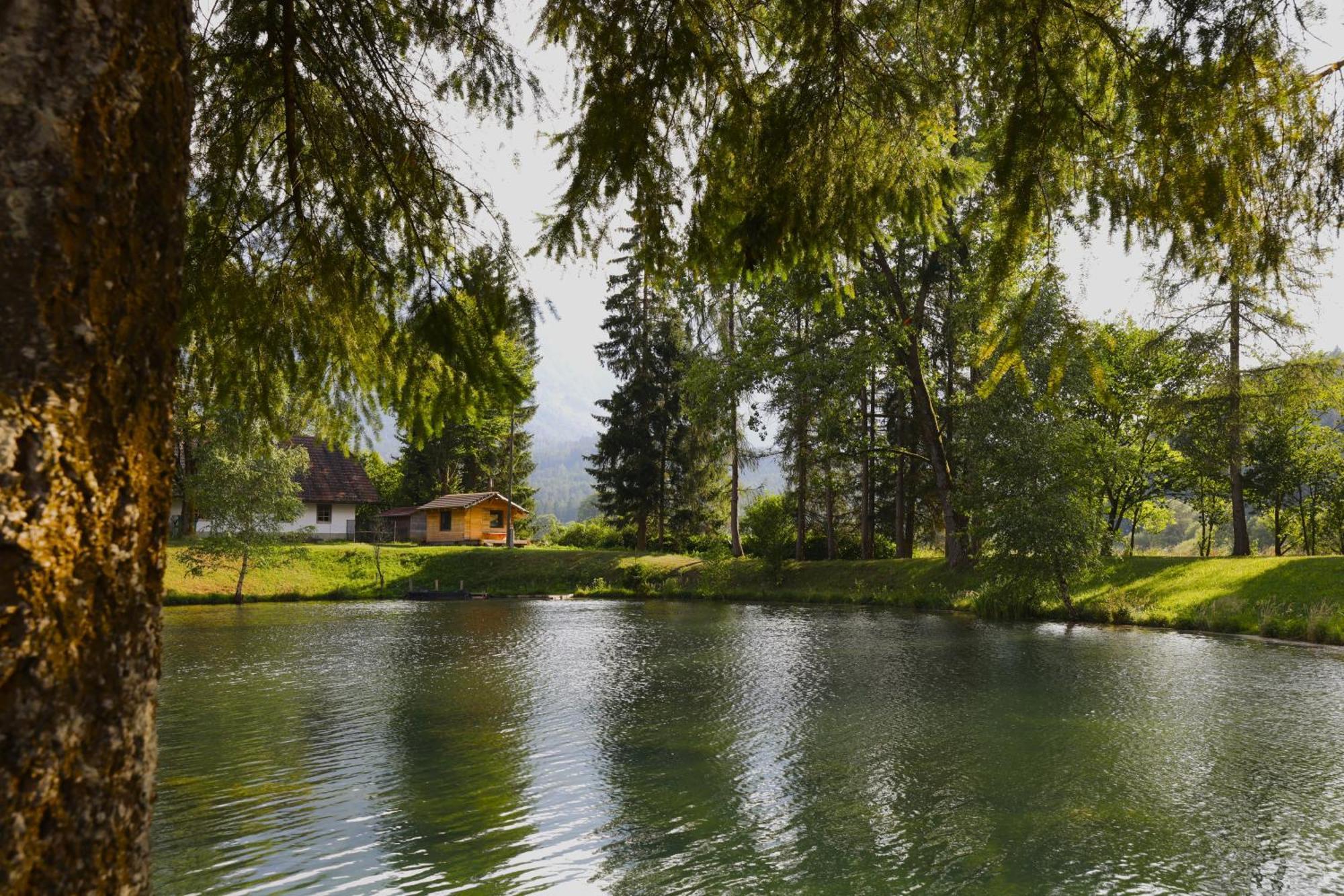 Ferienwohnung Haus Am Fischteich Feistritz ob Bleiburg Exterior foto