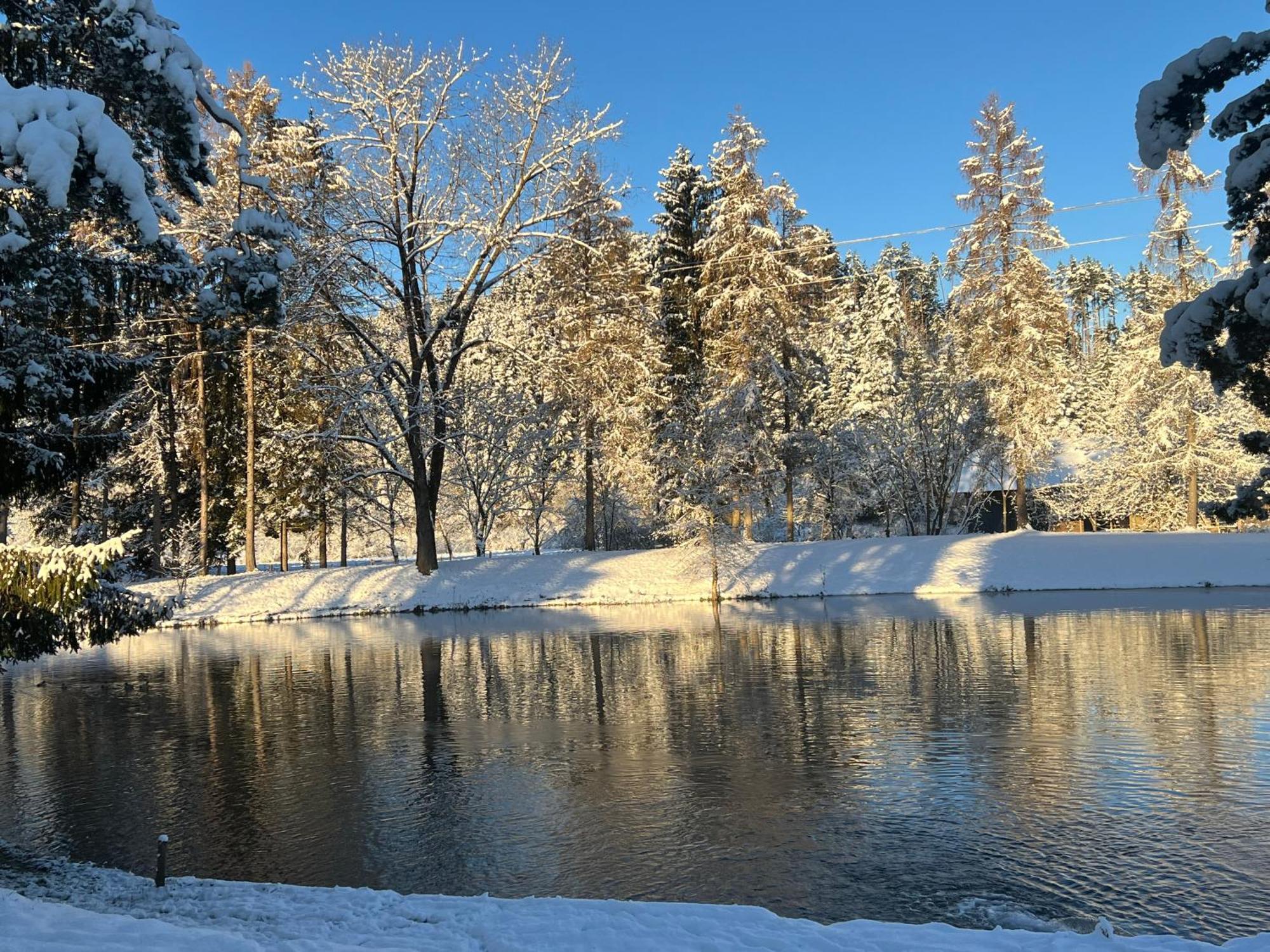 Ferienwohnung Haus Am Fischteich Feistritz ob Bleiburg Exterior foto