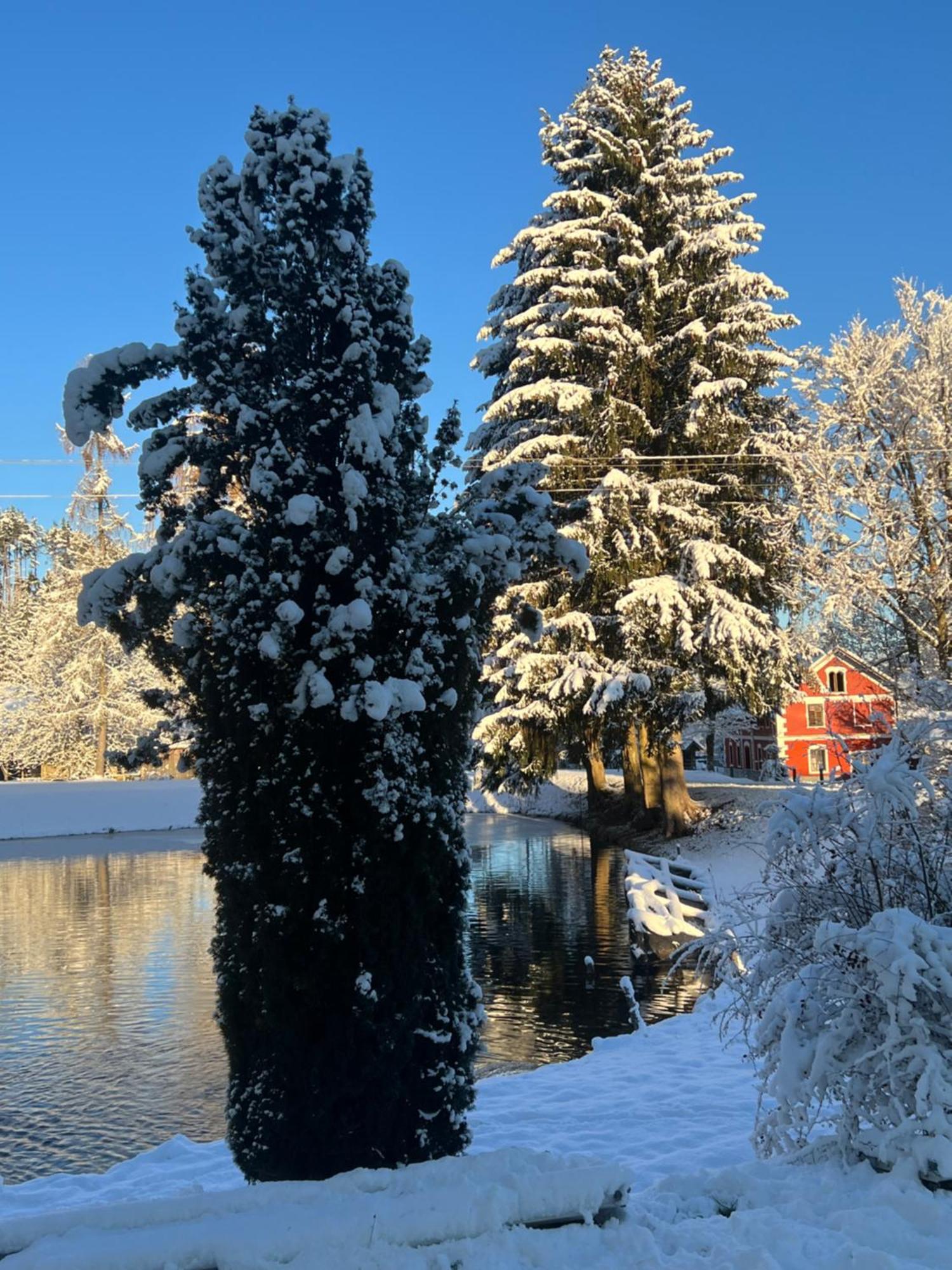 Ferienwohnung Haus Am Fischteich Feistritz ob Bleiburg Exterior foto
