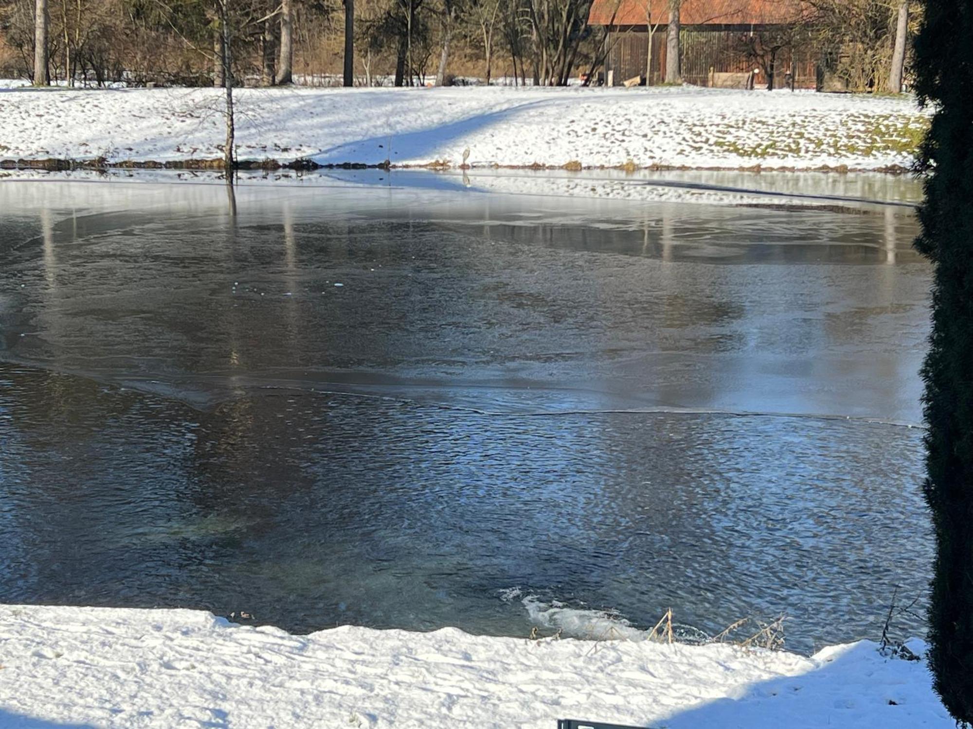 Ferienwohnung Haus Am Fischteich Feistritz ob Bleiburg Exterior foto