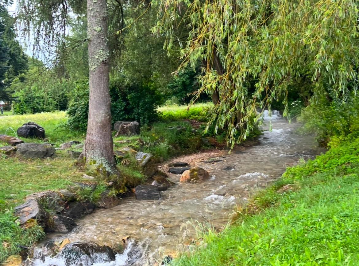Ferienwohnung Haus Am Fischteich Feistritz ob Bleiburg Exterior foto