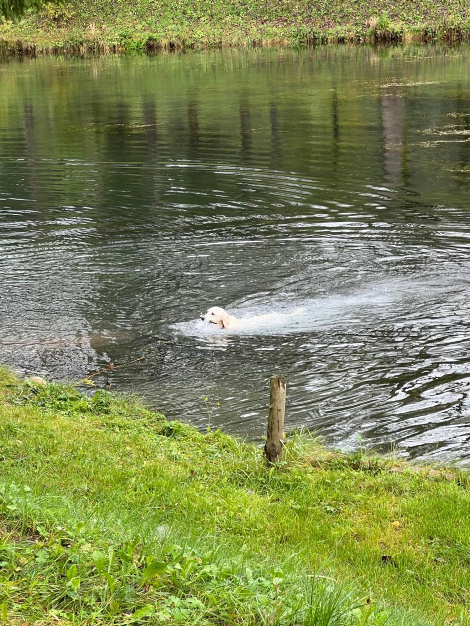 Ferienwohnung Haus Am Fischteich Feistritz ob Bleiburg Exterior foto